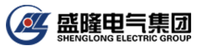 盛隆电气集团